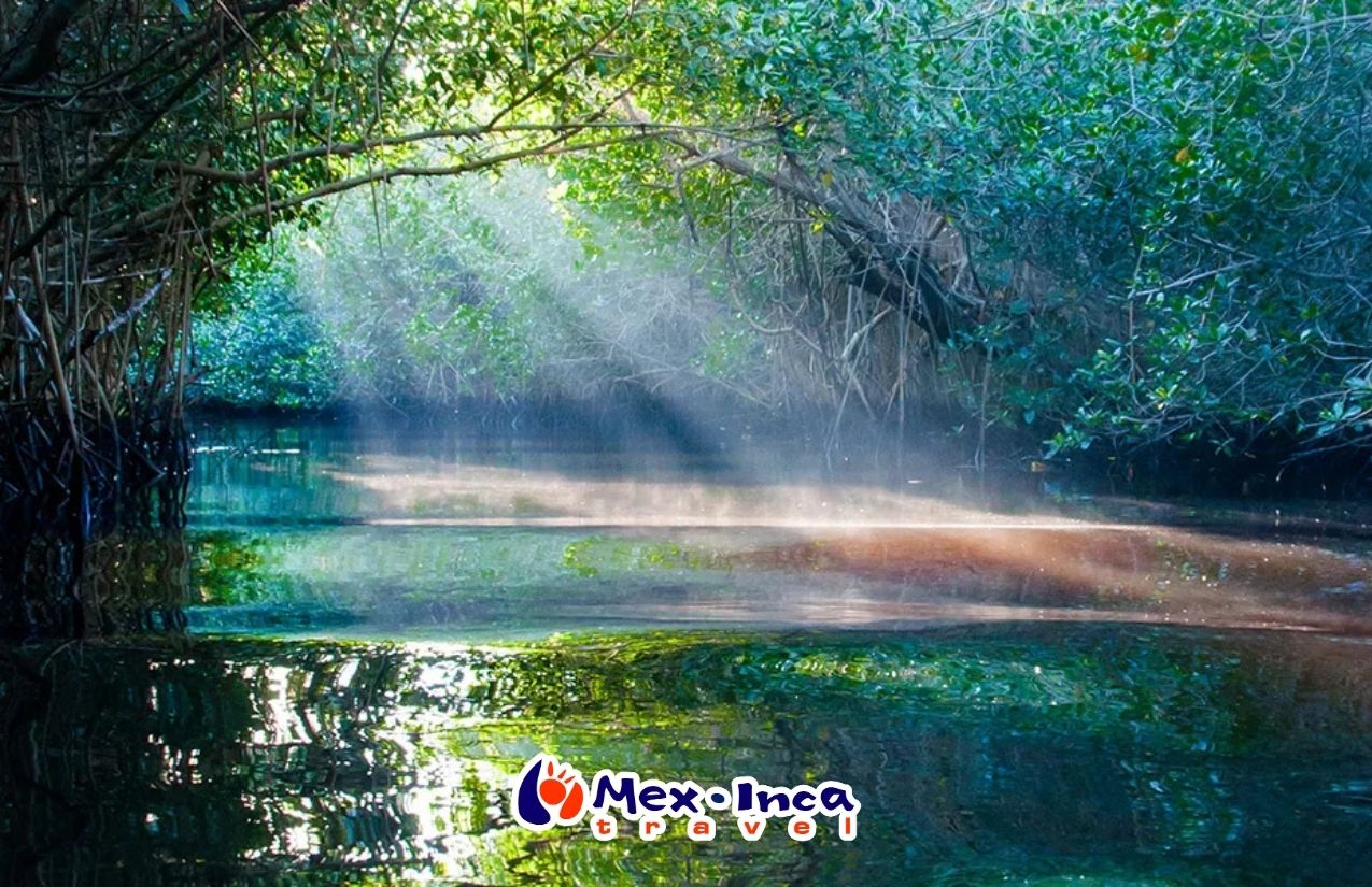 Aventura_en_Nayarit_con_city_Express