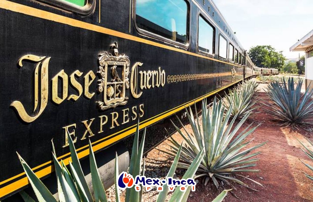 Jose_Cuervo_Express_con_Hotel_Aranzazu
