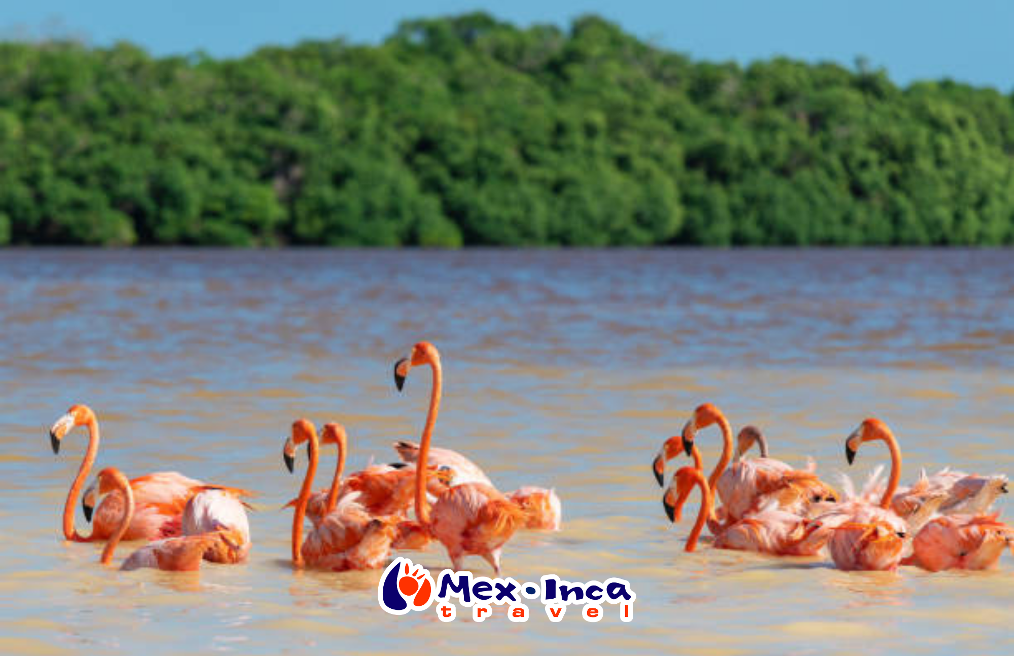 Tour_Isla_Arena_con_Flamingos