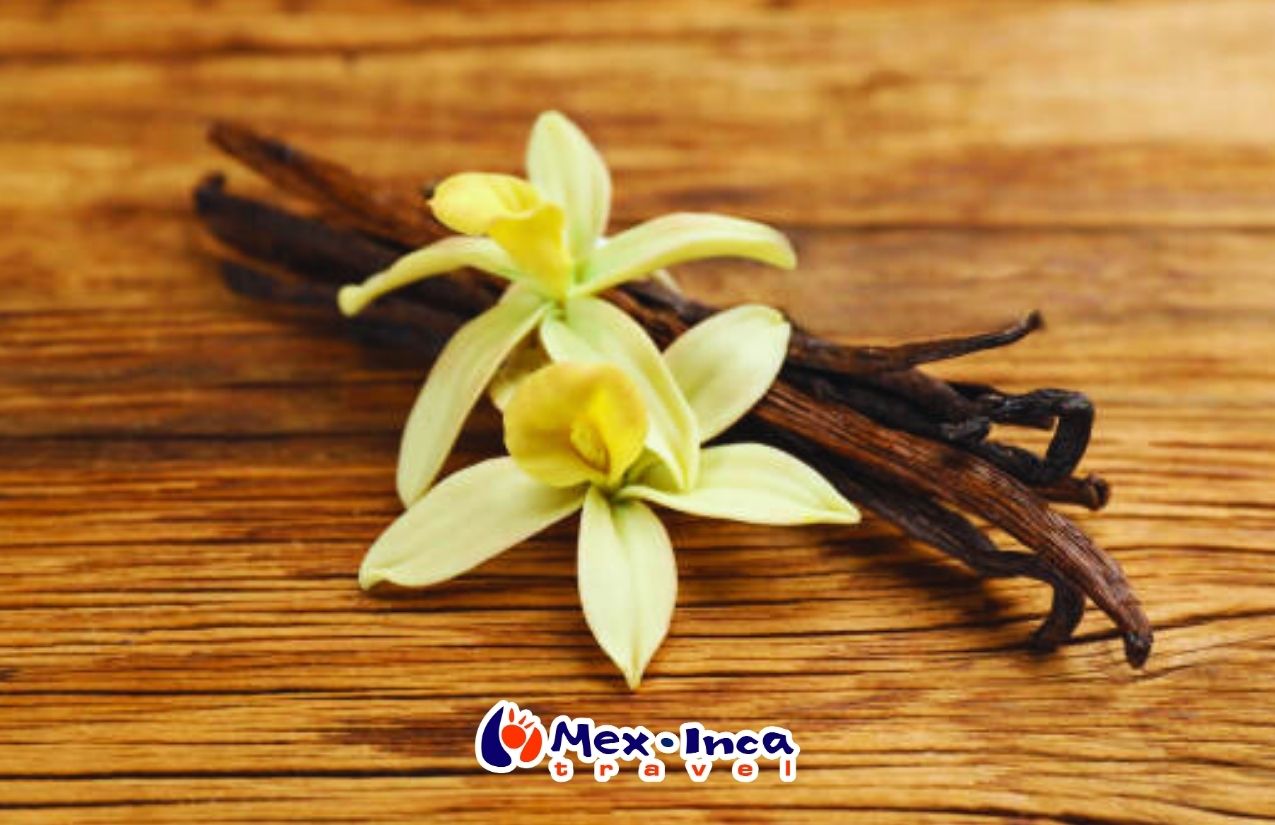 Veracruz_Gastronomico_con_Hotel_Hilton_Garden_Inn_Boca_del_Rio