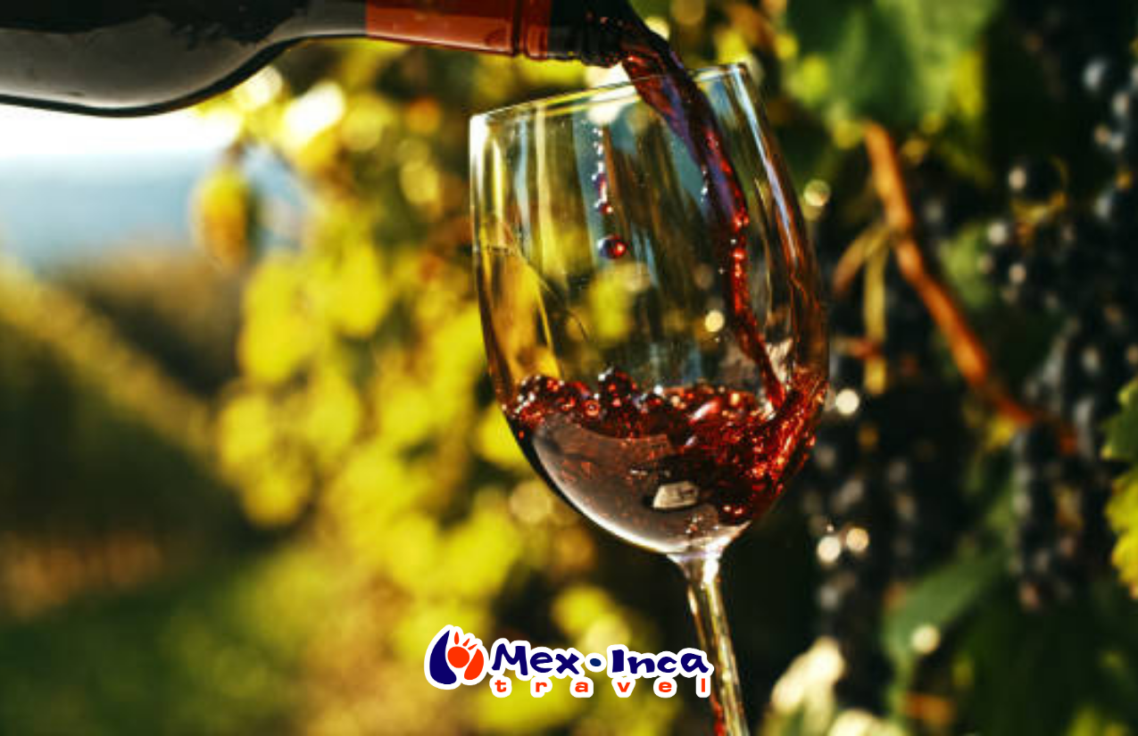 Vinedos_de_Baja_California